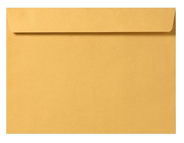 Cashier Depot 10" x 13" Booklet Envelopes, Premium 28lb. Kraft, Gum Flap, 500/Box - Cashier Depot